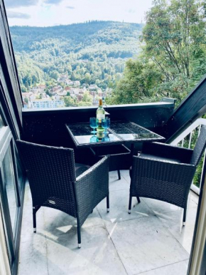 Penthouse Overlooking the Neckar